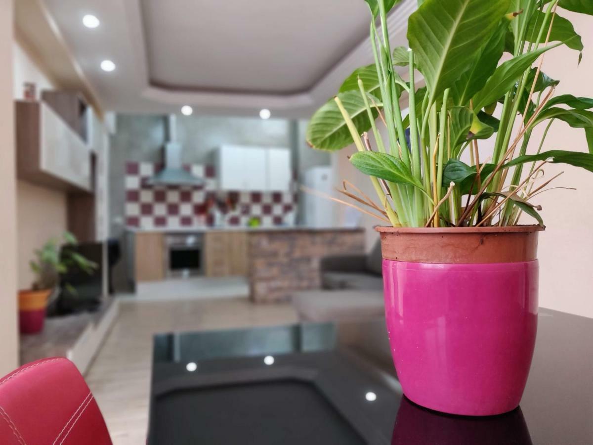 Villa Cactus Los Cristianos à Los Cristianos  Extérieur photo